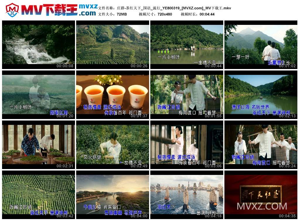庄群-茶红天下_国语_流行_YE800319